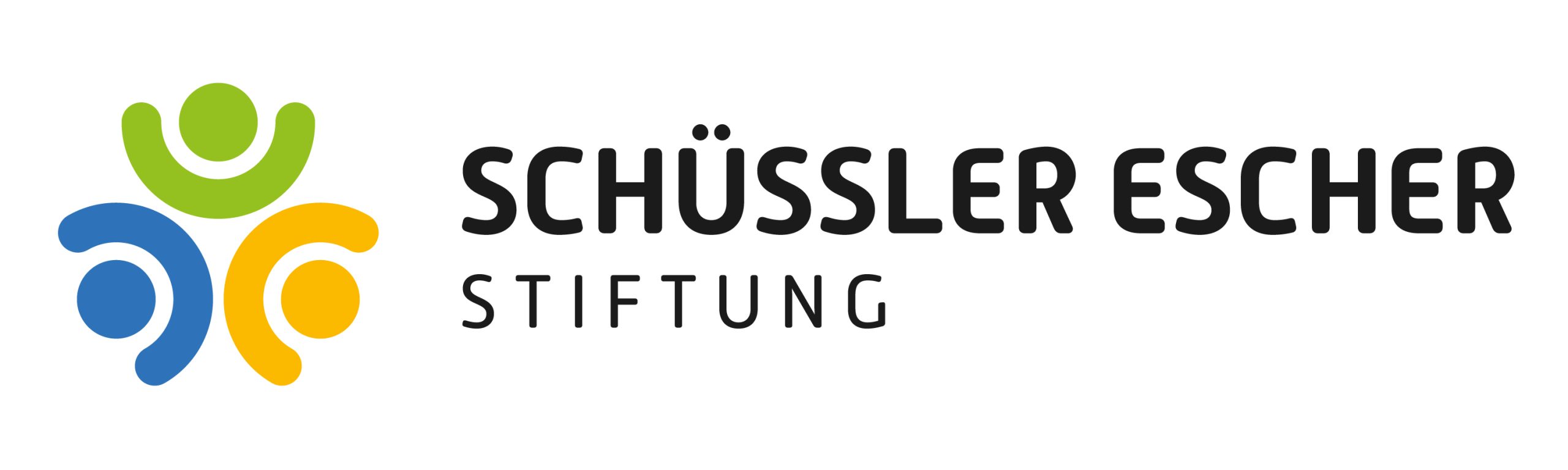 Das Bild zeigt das Logo der Schüssler Escher Stiftung.
